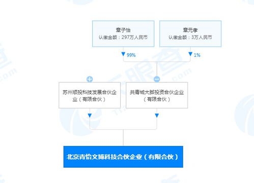 章子怡跨界布局科技领域 投资成立计算机系统服务合伙企业引关注